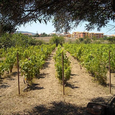 Agriturismo Crabileddu Valledoria (Sardinia) Exterior photo